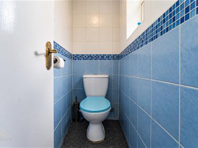 Picture 19